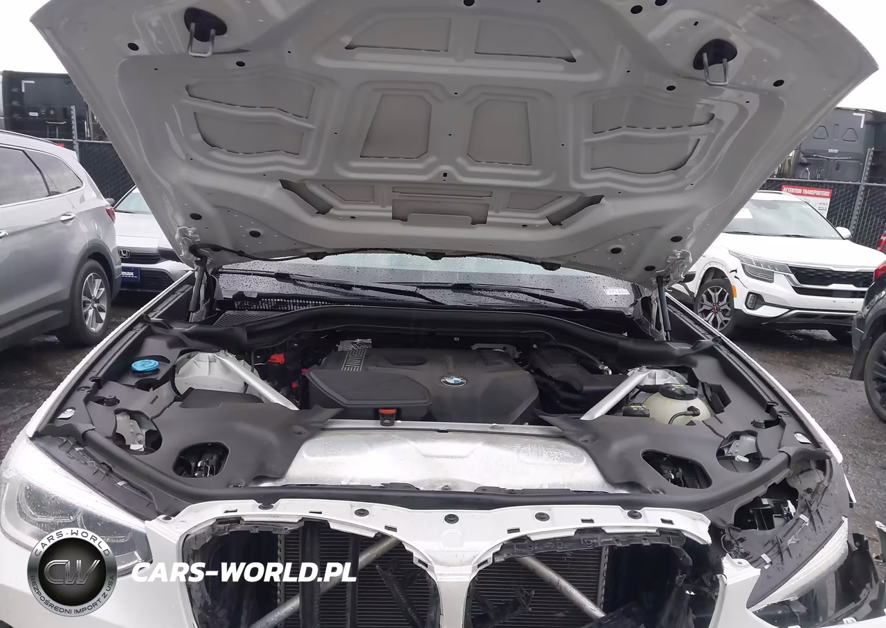 2019 BMW X3 Sdrive30I VIN:5UXTR7C59KLF37133 - 10
