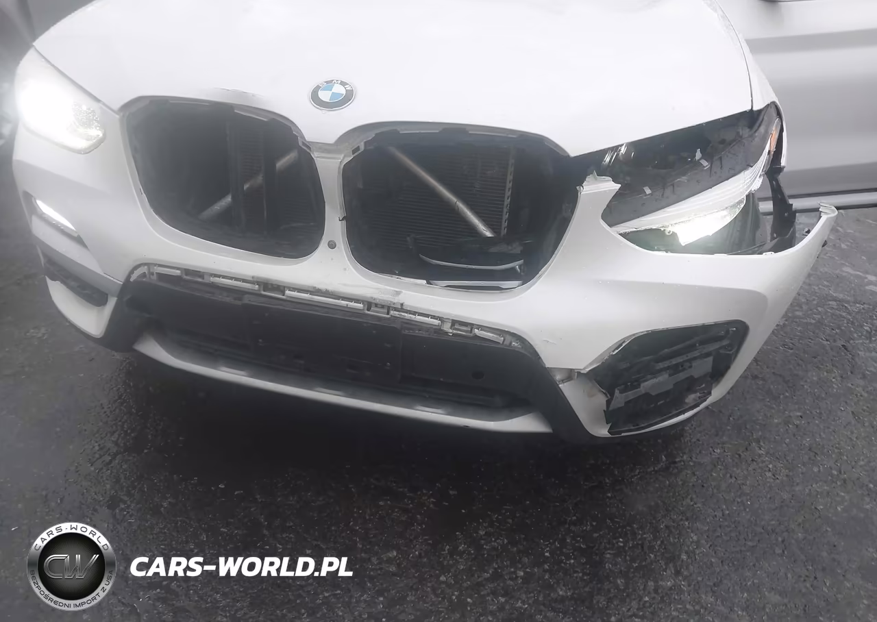 2019 BMW X3 Sdrive30I VIN:5UXTR7C59KLF37133 - 6