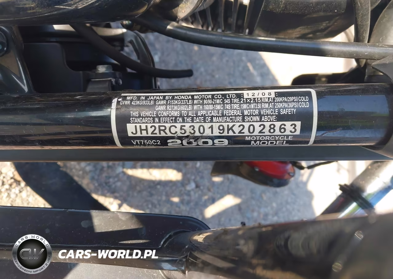 2009 Honda Vt750 C2 VIN:JH2RC53019K202863 - 10