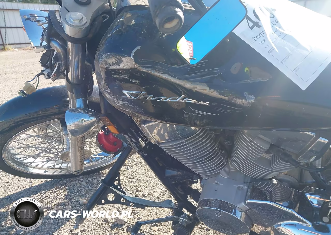 2009 Honda Vt750 C2 VIN:JH2RC53019K202863 - 16