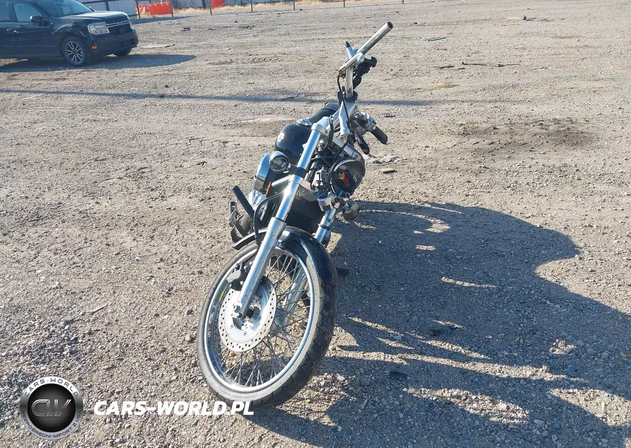 2009 Honda Vt750 C2 VIN:JH2RC53019K202863 - 5