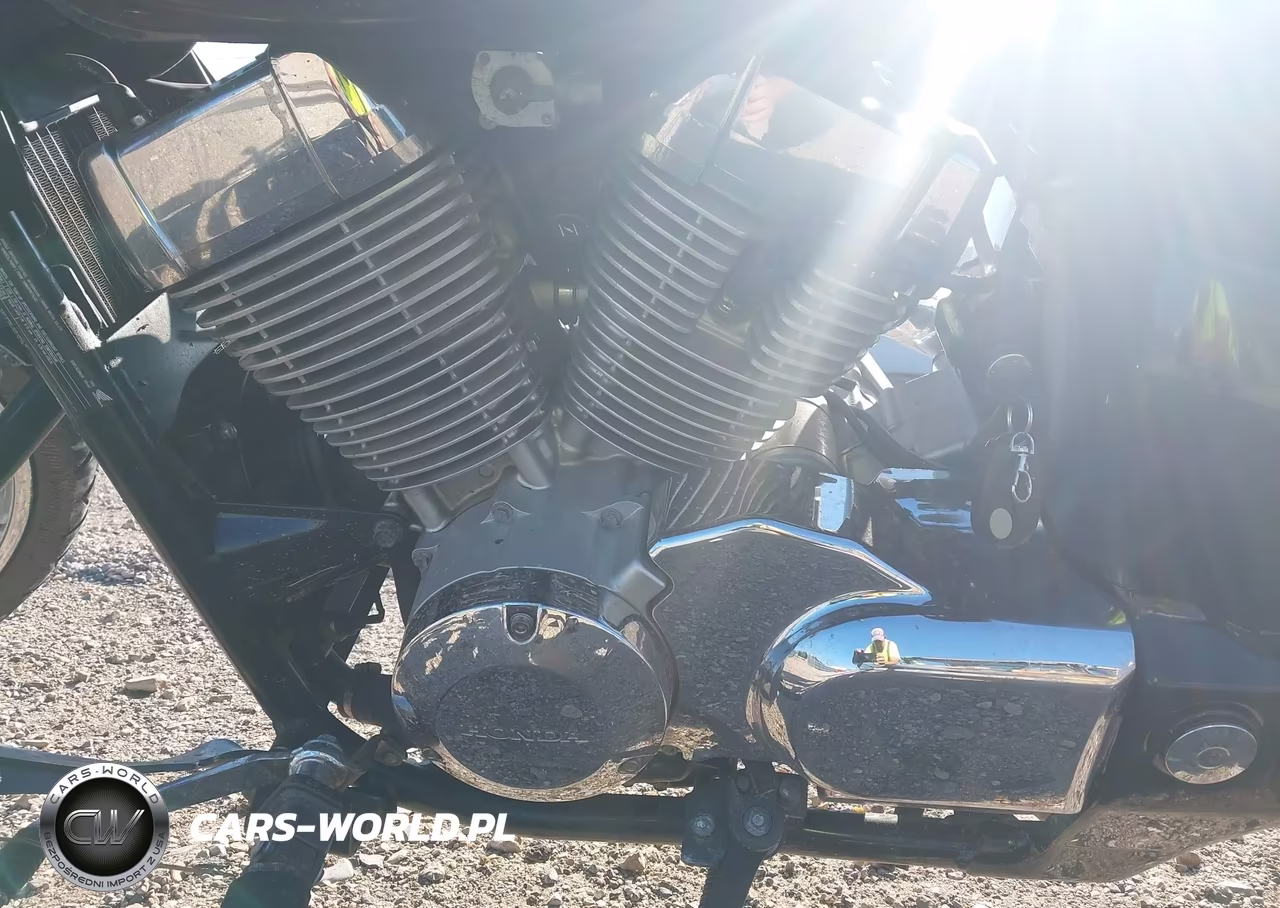 2009 Honda Vt750 C2 VIN:JH2RC53019K202863 - 9