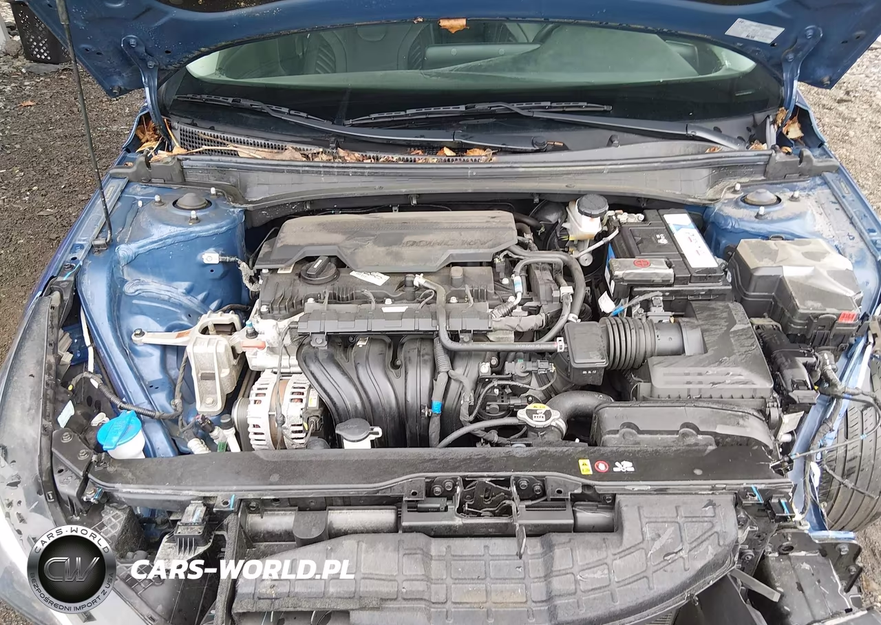2023 Hyundai Elantra Limited VIN:5NPLP4AG9PH105743 - 10