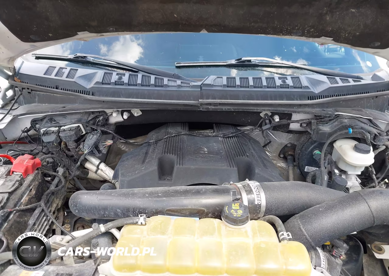 2019 Ford F-150 Xlt VIN:1FTEW1E43KFD42001 - 10