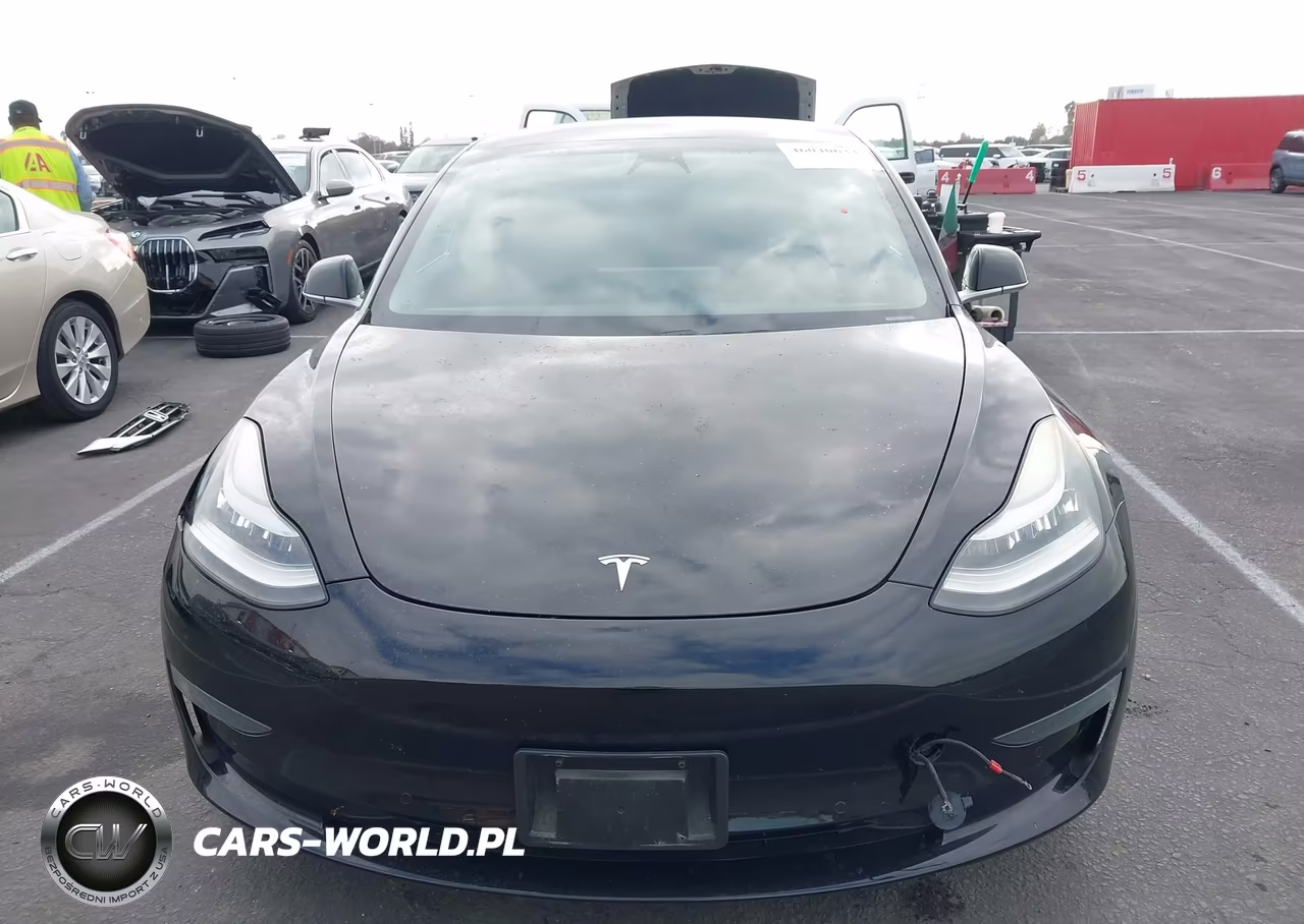 2019 Tesla Model 3 Long Range-Mid Range-Standard Range-Standard Range Plus VIN:5YJ3E1EA1KF436155 - 12