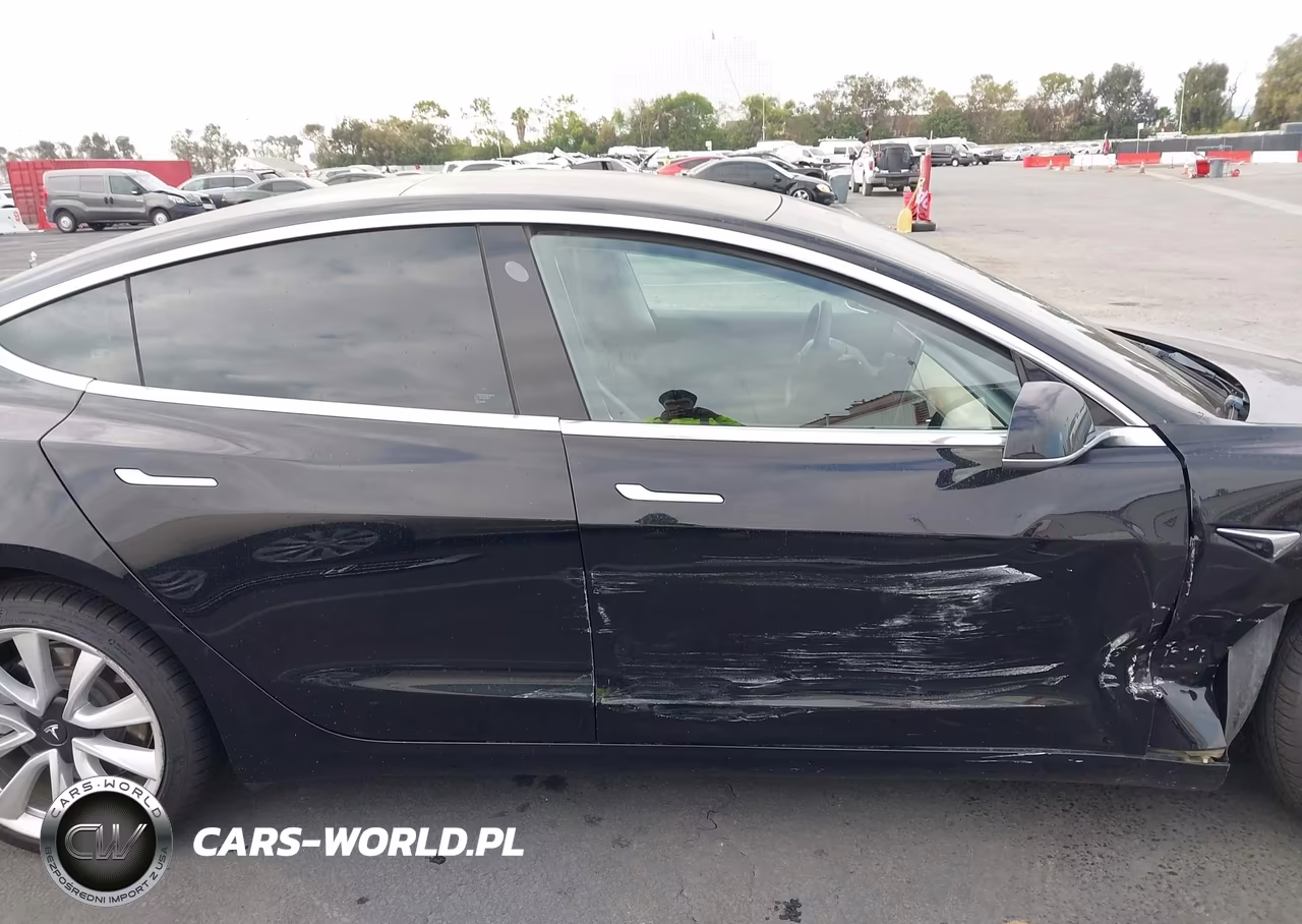2019 Tesla Model 3 Long Range-Mid Range-Standard Range-Standard Range Plus VIN:5YJ3E1EA1KF436155 - 13