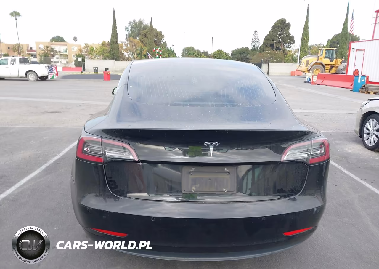 2019 Tesla Model 3 Long Range-Mid Range-Standard Range-Standard Range Plus VIN:5YJ3E1EA1KF436155 - 16