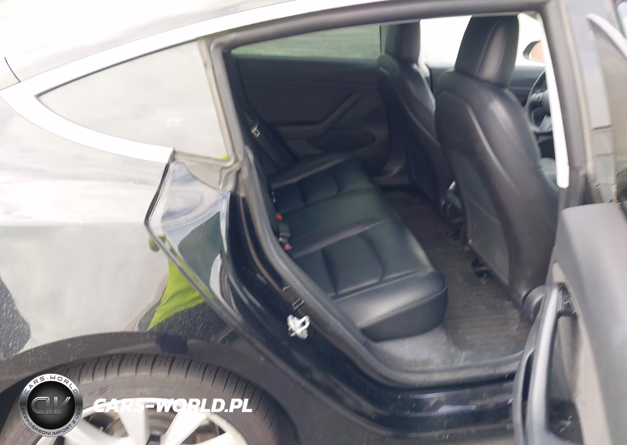 2019 Tesla Model 3 Long Range-Mid Range-Standard Range-Standard Range Plus VIN:5YJ3E1EA1KF436155 - 8