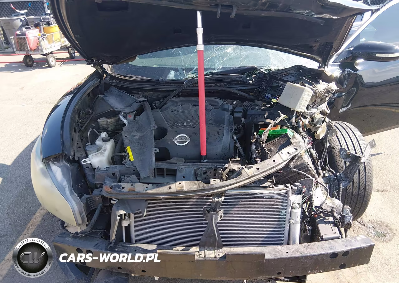 2013 Nissan Maxima 3.5 Sv VIN:1N4AA5AP0DC818719 - 10