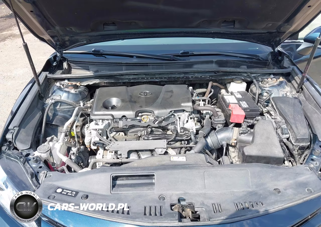 2019 Toyota Camry Xle VIN:4T1B11HK3KU828648 - 10