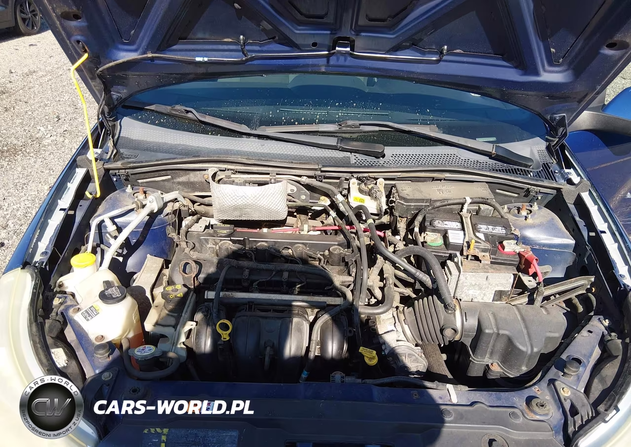 2009 Ford Focus Ses VIN:1FAHP36N59W127376 - 10