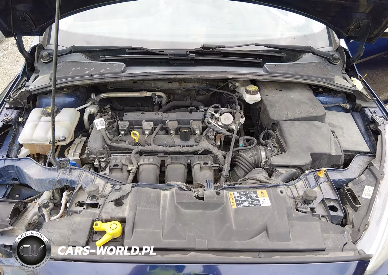 2017 Ford Focus Sel VIN:1FADP3M20HL340369 - 10