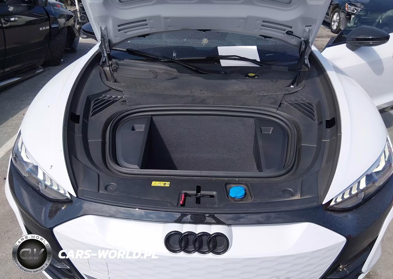 2023 Audi E-Tron Gt Premium Plus Quattro VIN:WAUCJBFW0P7000838 - 10