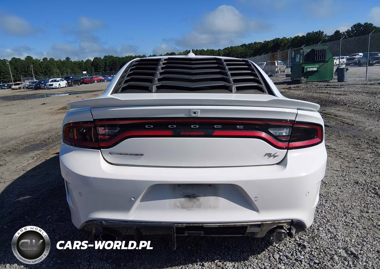 2019 Dodge Charger R-T Rwd VIN:2C3CDXCT1KH742961 - 17