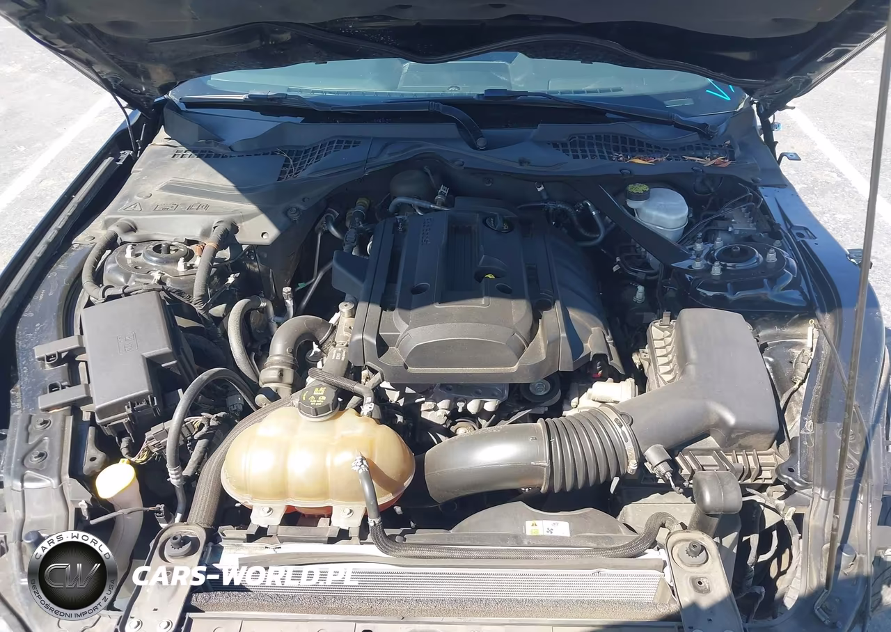 2015 Ford Mustang Ecoboost VIN:1FA6P8TH9F5319212 - 10