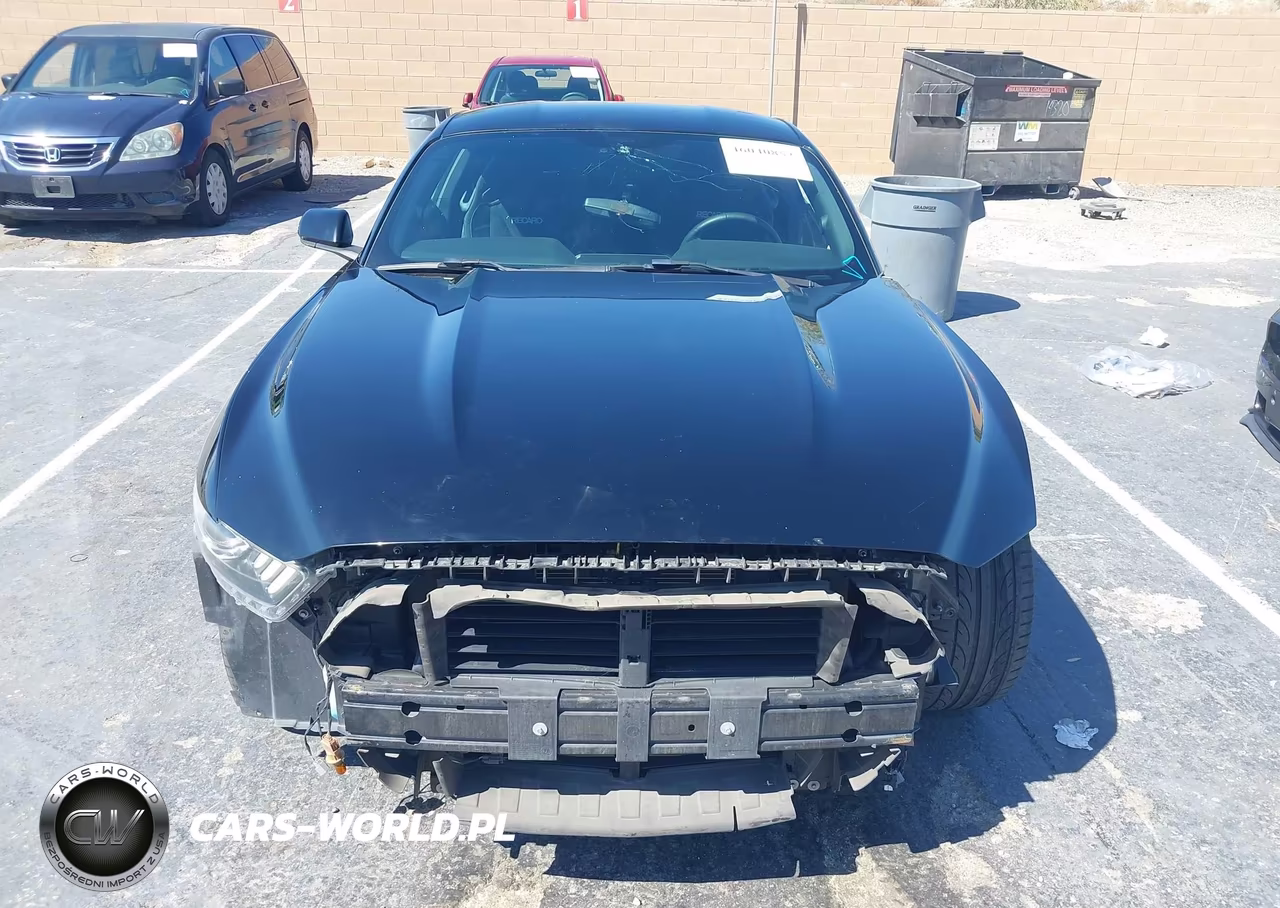 2015 Ford Mustang Ecoboost VIN:1FA6P8TH9F5319212 - 13