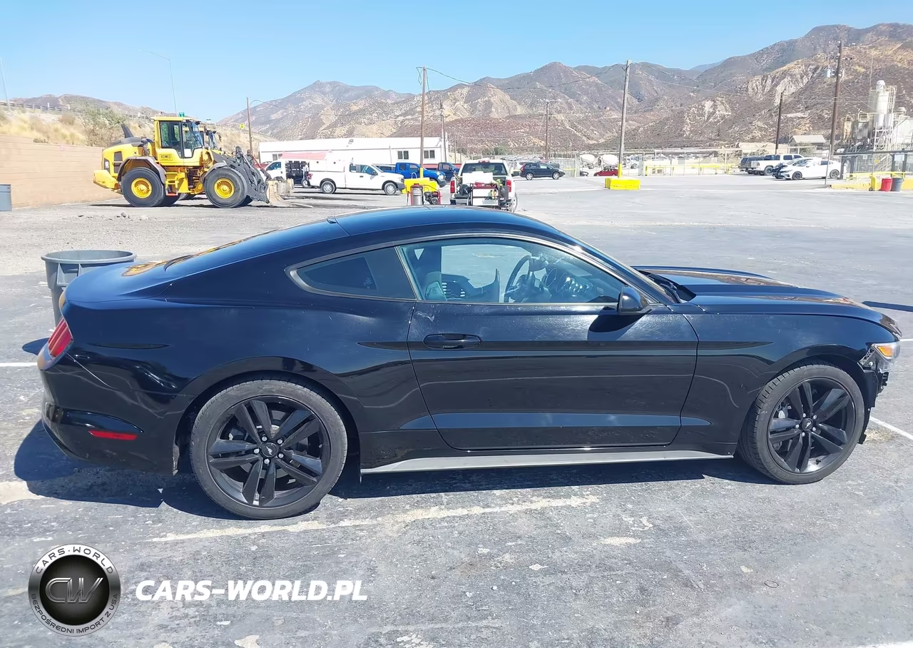 2015 Ford Mustang Ecoboost VIN:1FA6P8TH9F5319212 - 14