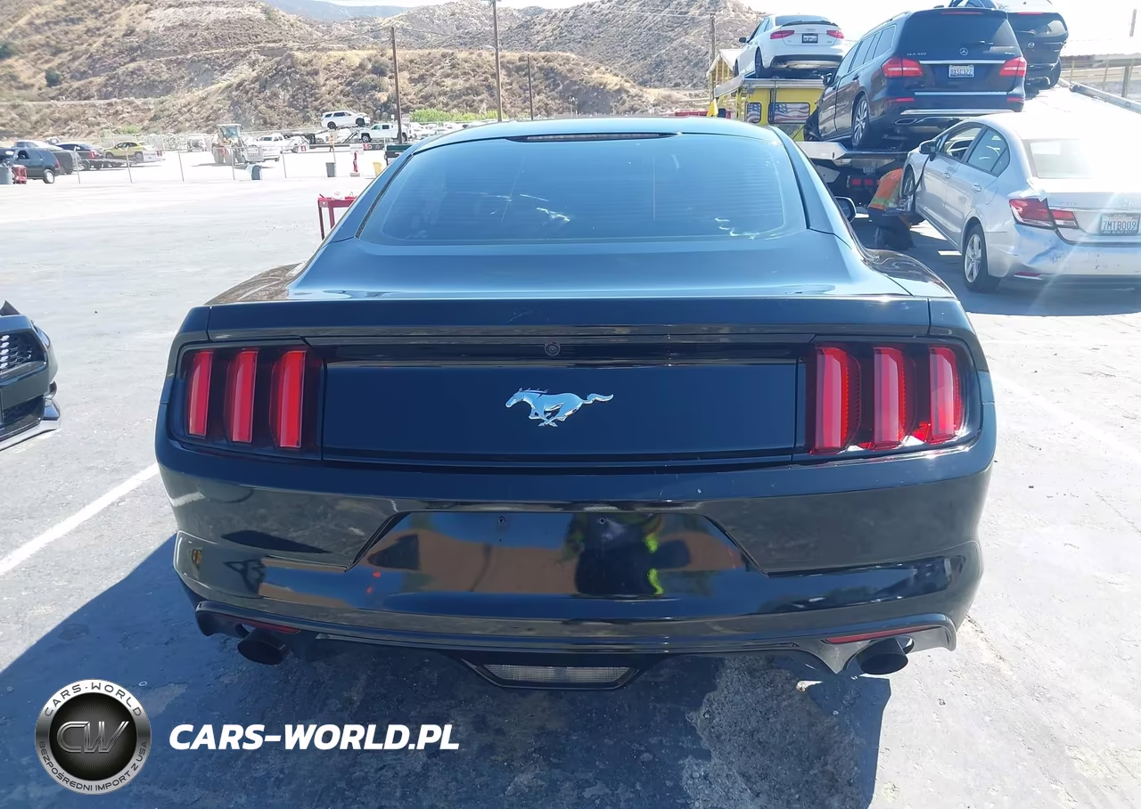 2015 Ford Mustang Ecoboost VIN:1FA6P8TH9F5319212 - 17