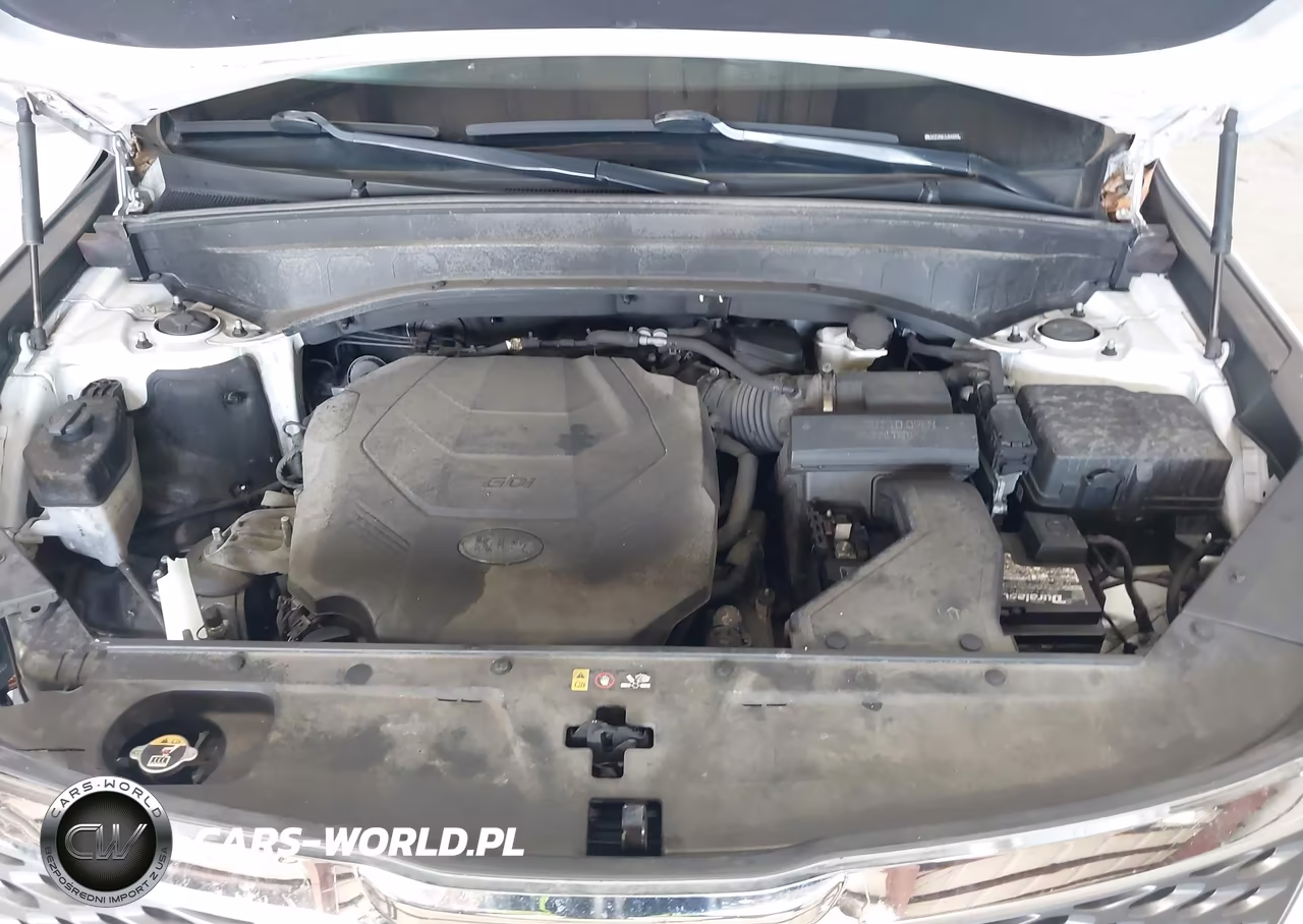 2020 Kia Telluride Lx VIN:5XYP2DHC7LG040900 - 10