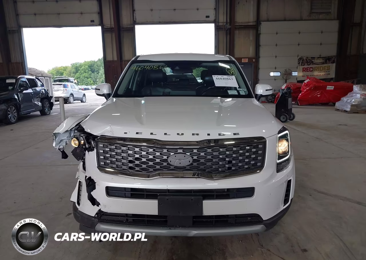 2020 Kia Telluride Lx VIN:5XYP2DHC7LG040900 - 12