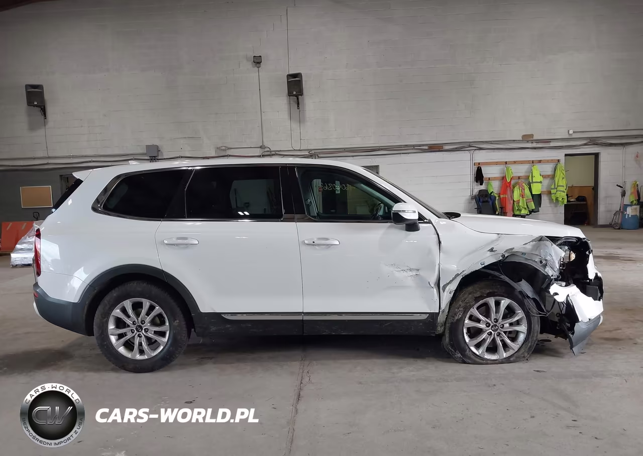 2020 Kia Telluride Lx VIN:5XYP2DHC7LG040900 - 13