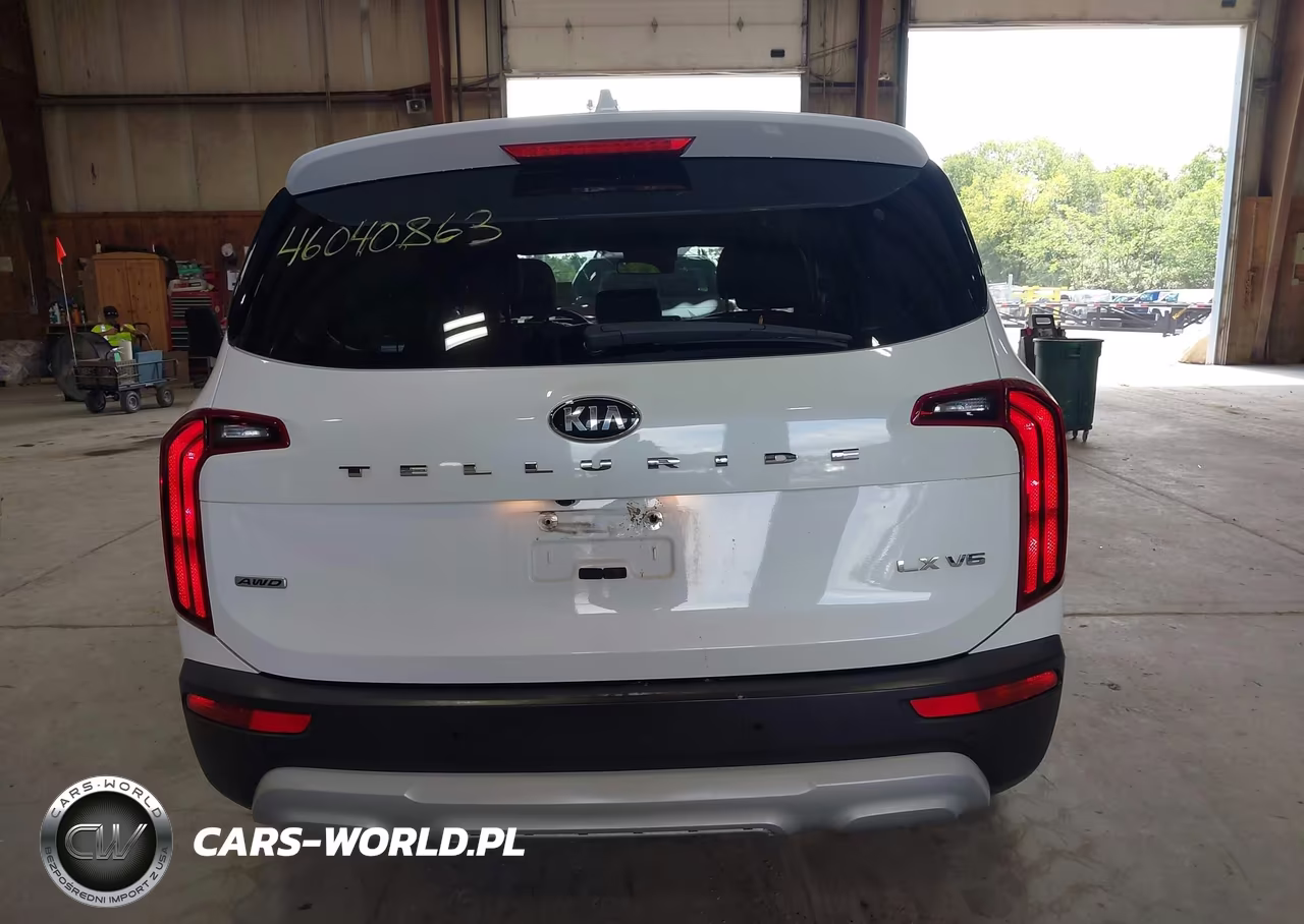 2020 Kia Telluride Lx VIN:5XYP2DHC7LG040900 - 16