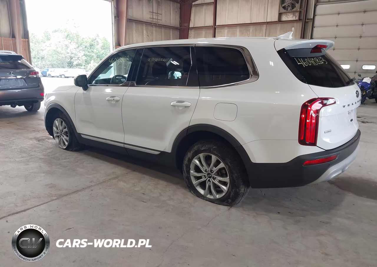 2020 Kia Telluride Lx VIN:5XYP2DHC7LG040900 - 3