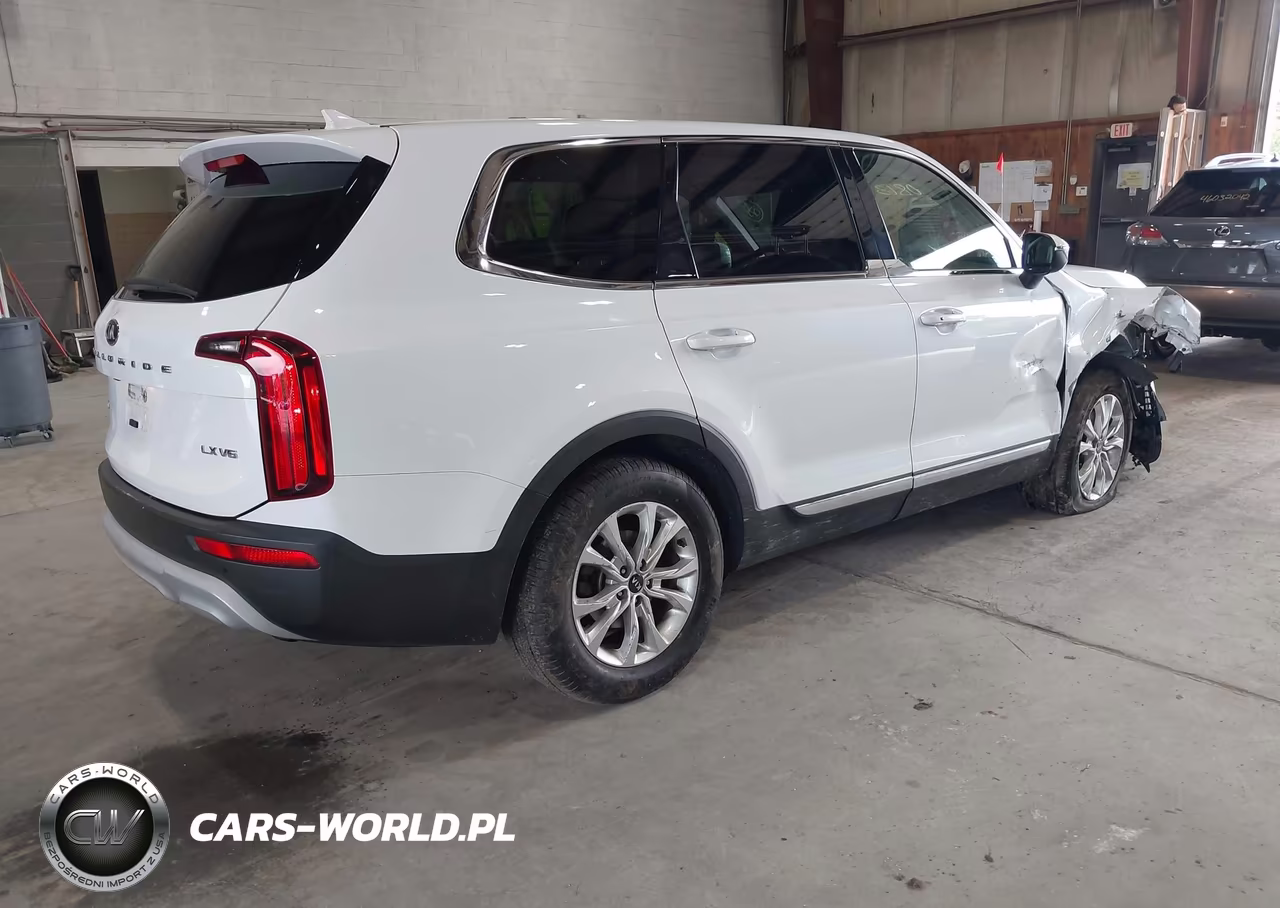 2020 Kia Telluride Lx VIN:5XYP2DHC7LG040900 - 4