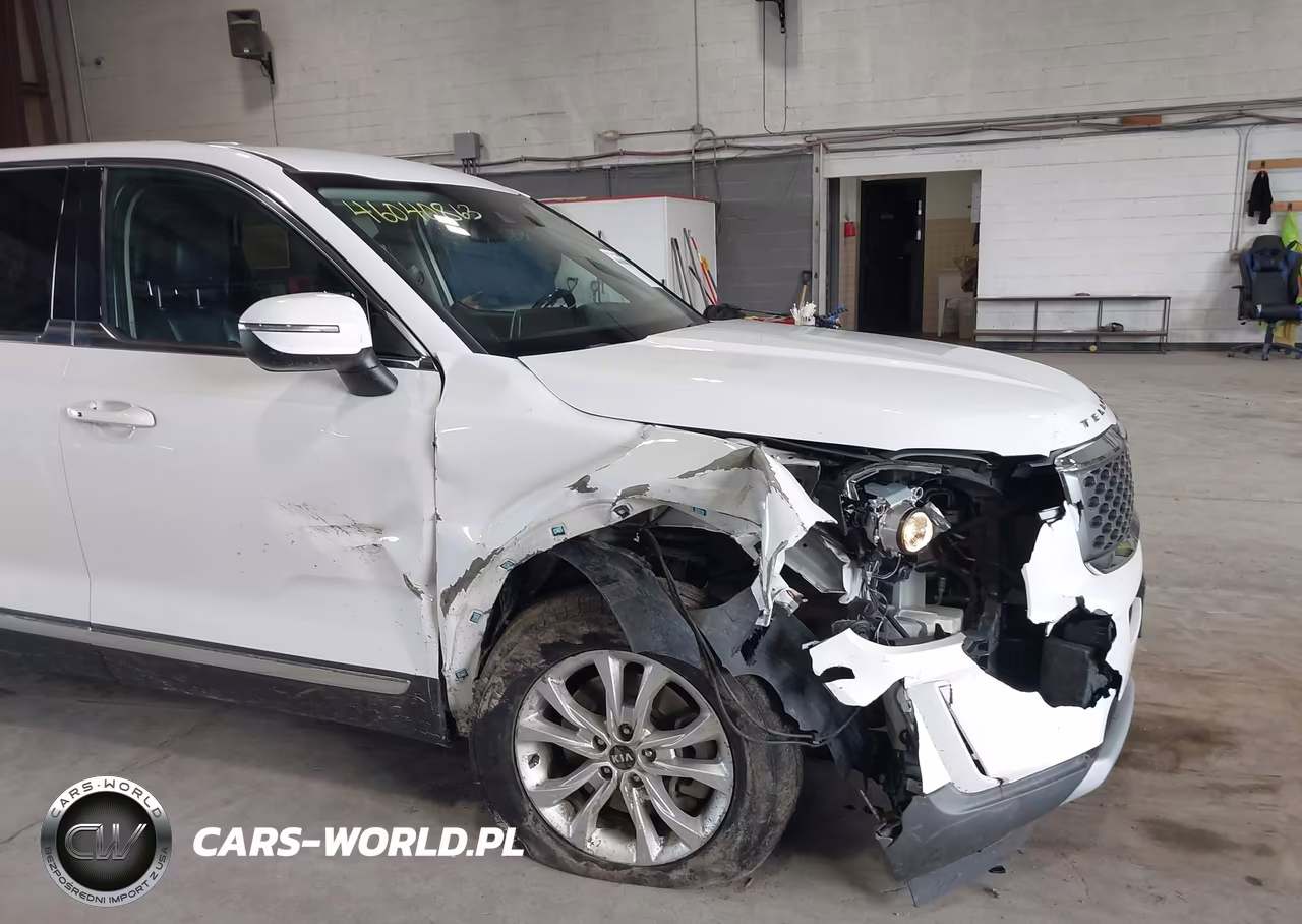2020 Kia Telluride Lx VIN:5XYP2DHC7LG040900 - 6