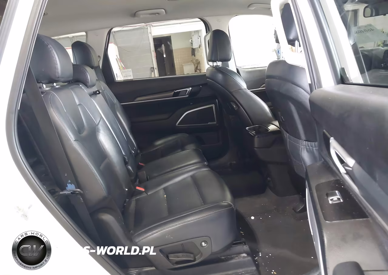 2020 Kia Telluride Lx VIN:5XYP2DHC7LG040900 - 8