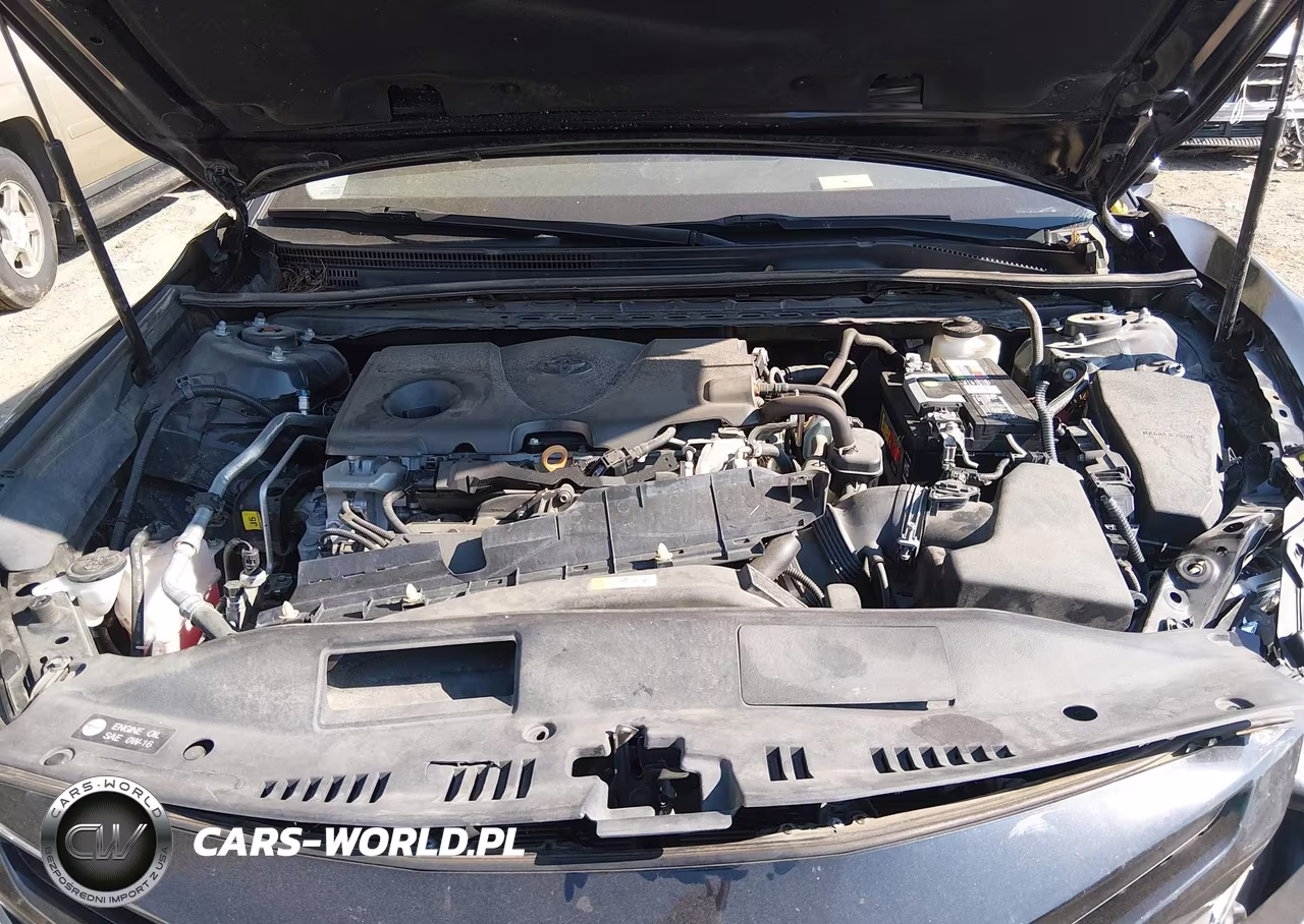 2020 Toyota Camry Se VIN:4T1M11AKXLU983573 - 10