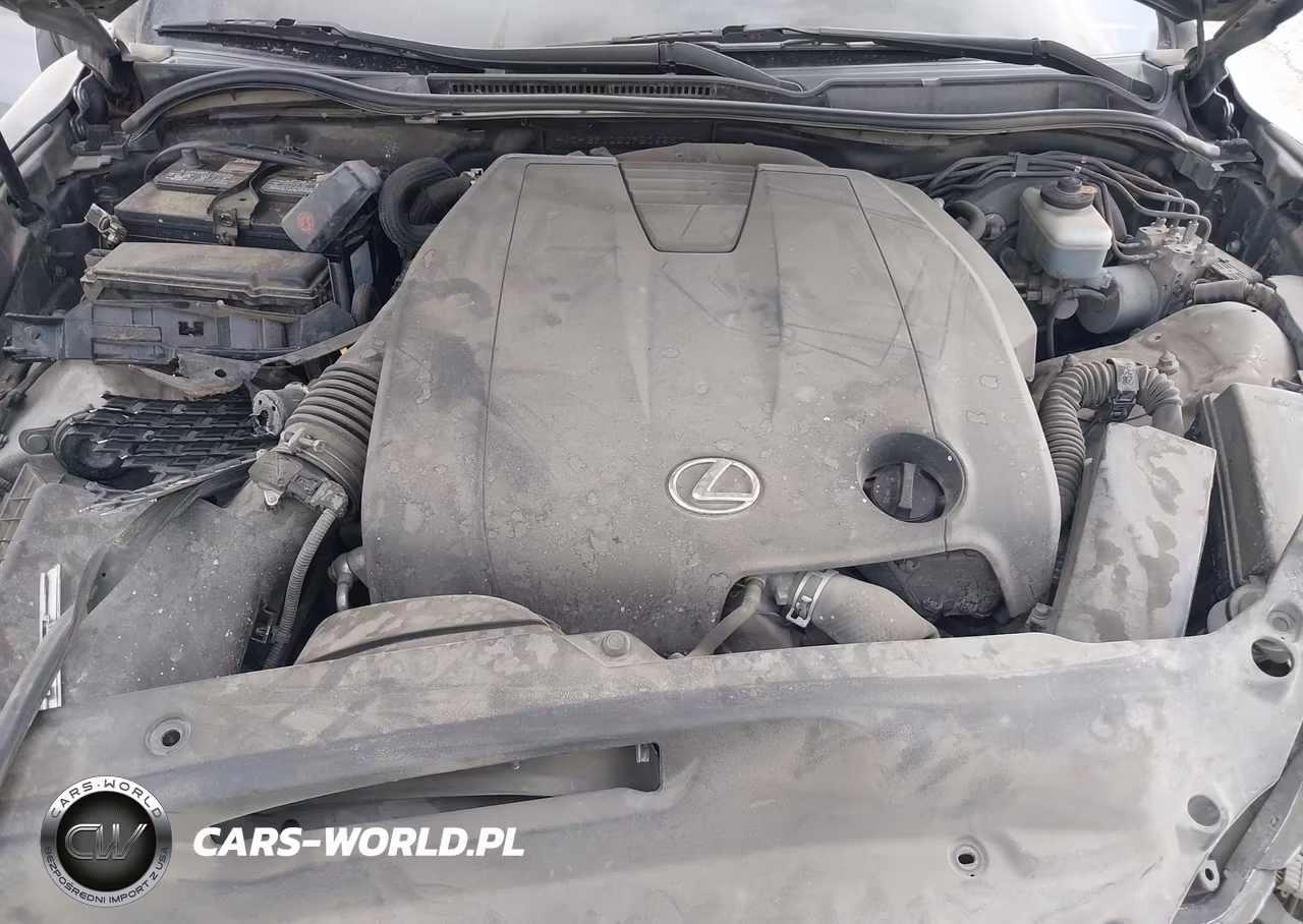 2015 Lexus Is 250 VIN:JTHBF1D20F5065871 - 10