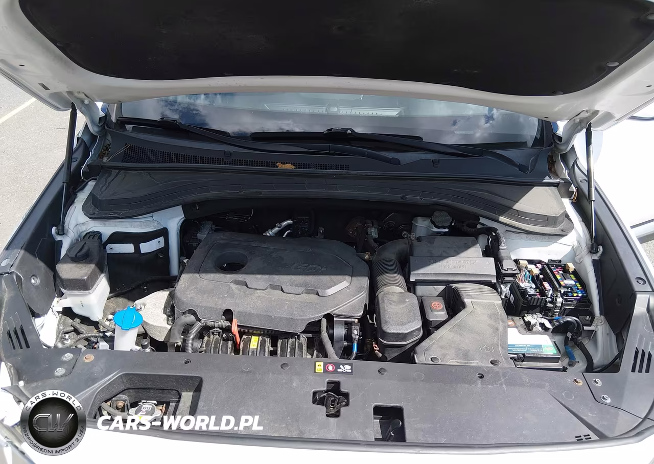 2019 Hyundai Santa Fe Se VIN:5NMS2CAD7KH102632 - 10