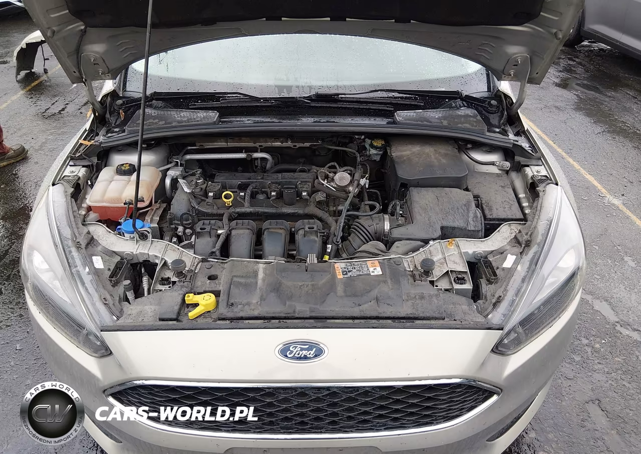 2016 Ford Focus Se VIN:1FADP3K26GL392235 - 10