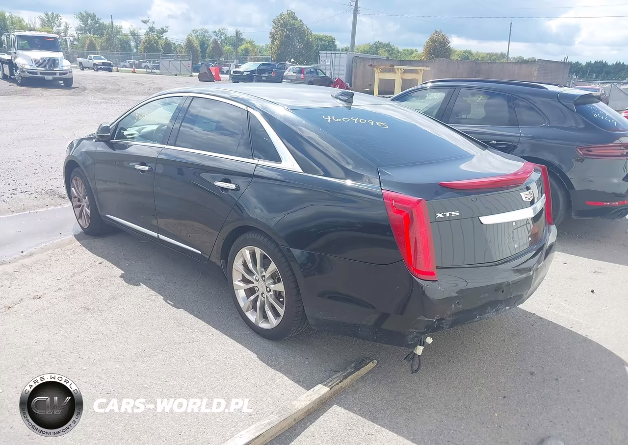 2016 Cadillac Xts W20 Livery Package VIN:2G61U5S39G9136403 - 3