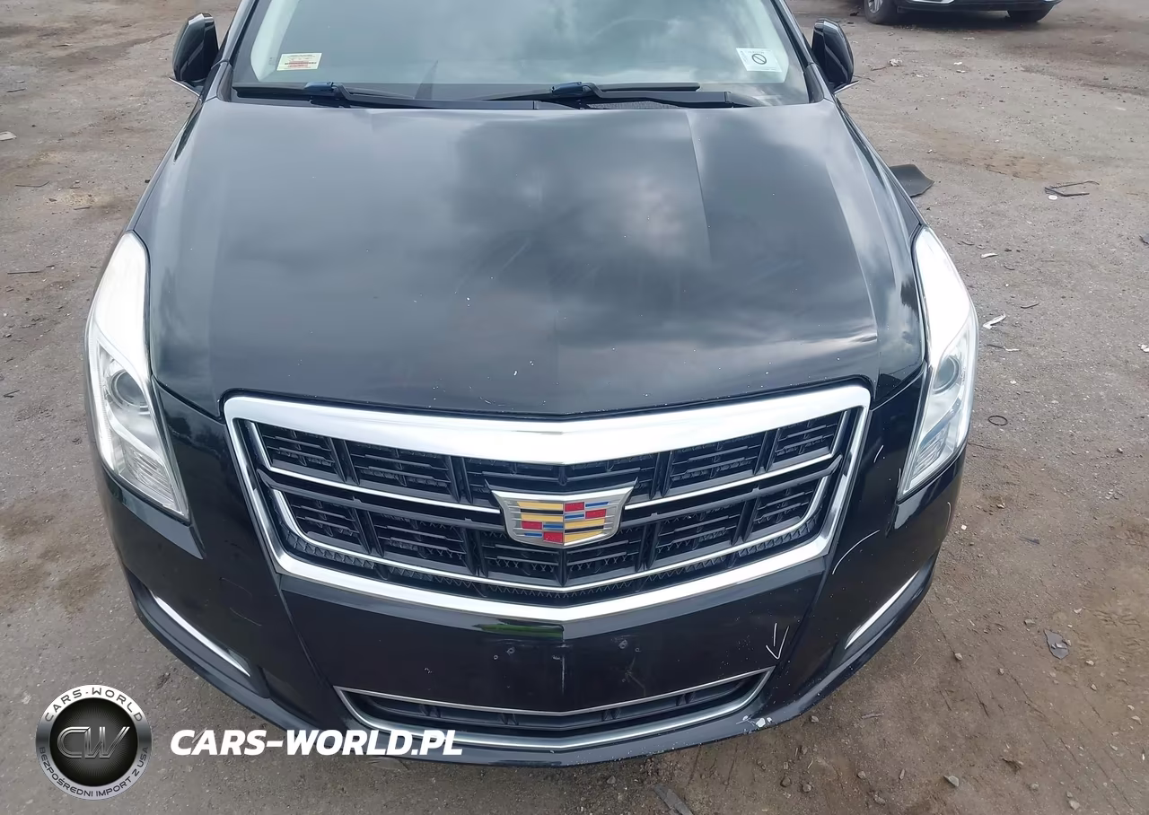 2016 Cadillac Xts W20 Livery Package VIN:2G61U5S39G9136403 - 6