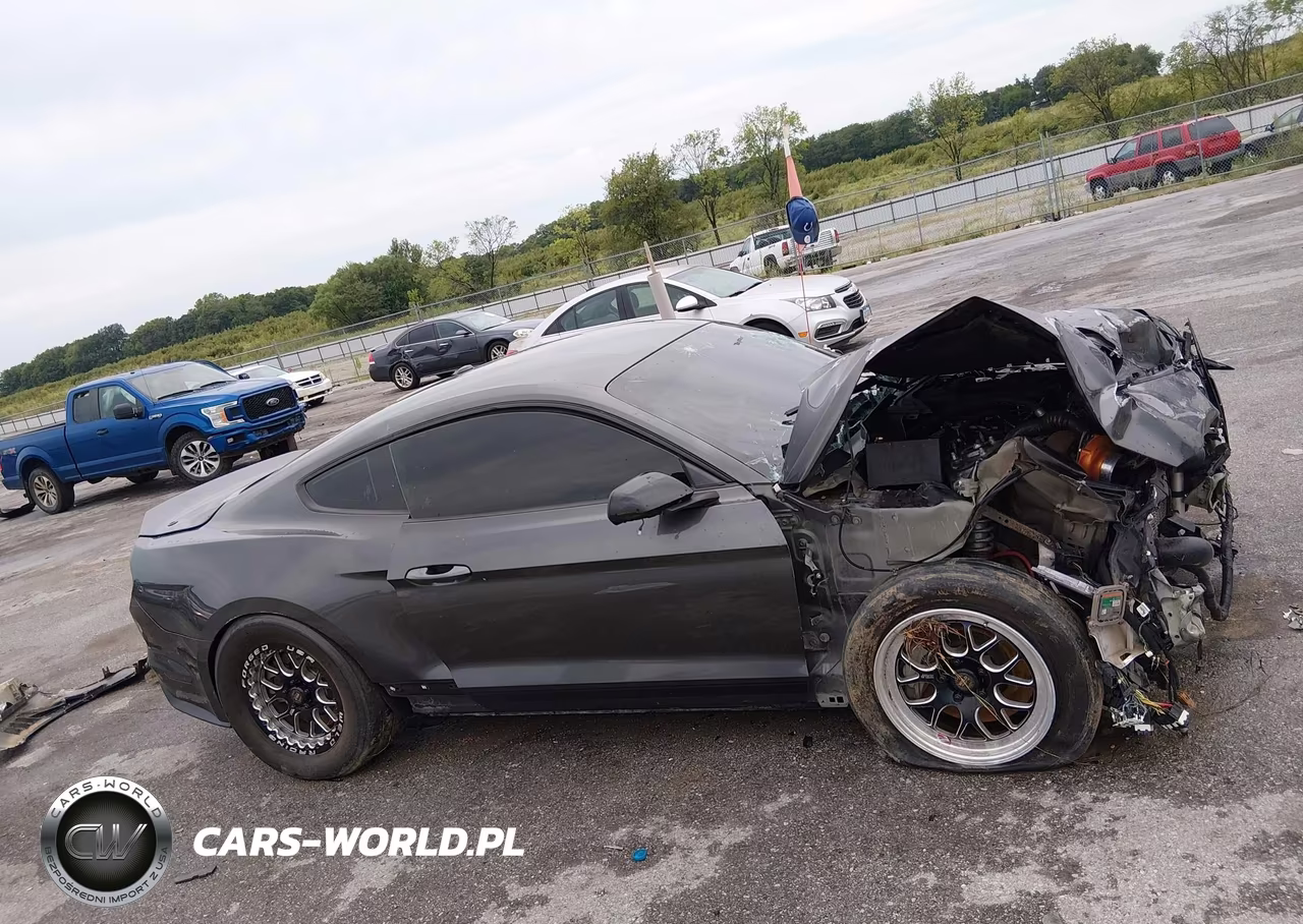 2016 Ford Mustang Gt Premium VIN:1FA6P8CF0G5256310 - 14
