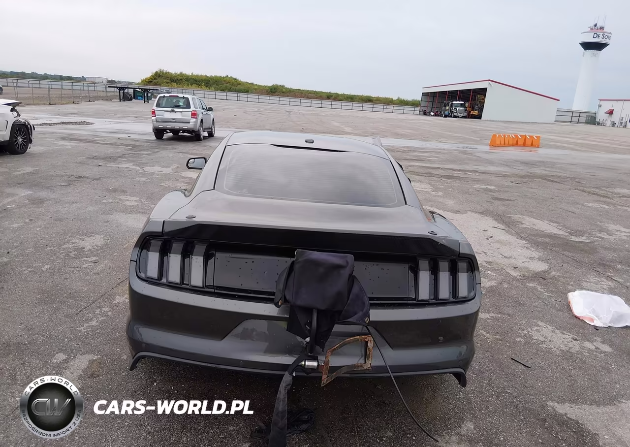 2016 Ford Mustang Gt Premium VIN:1FA6P8CF0G5256310 - 17
