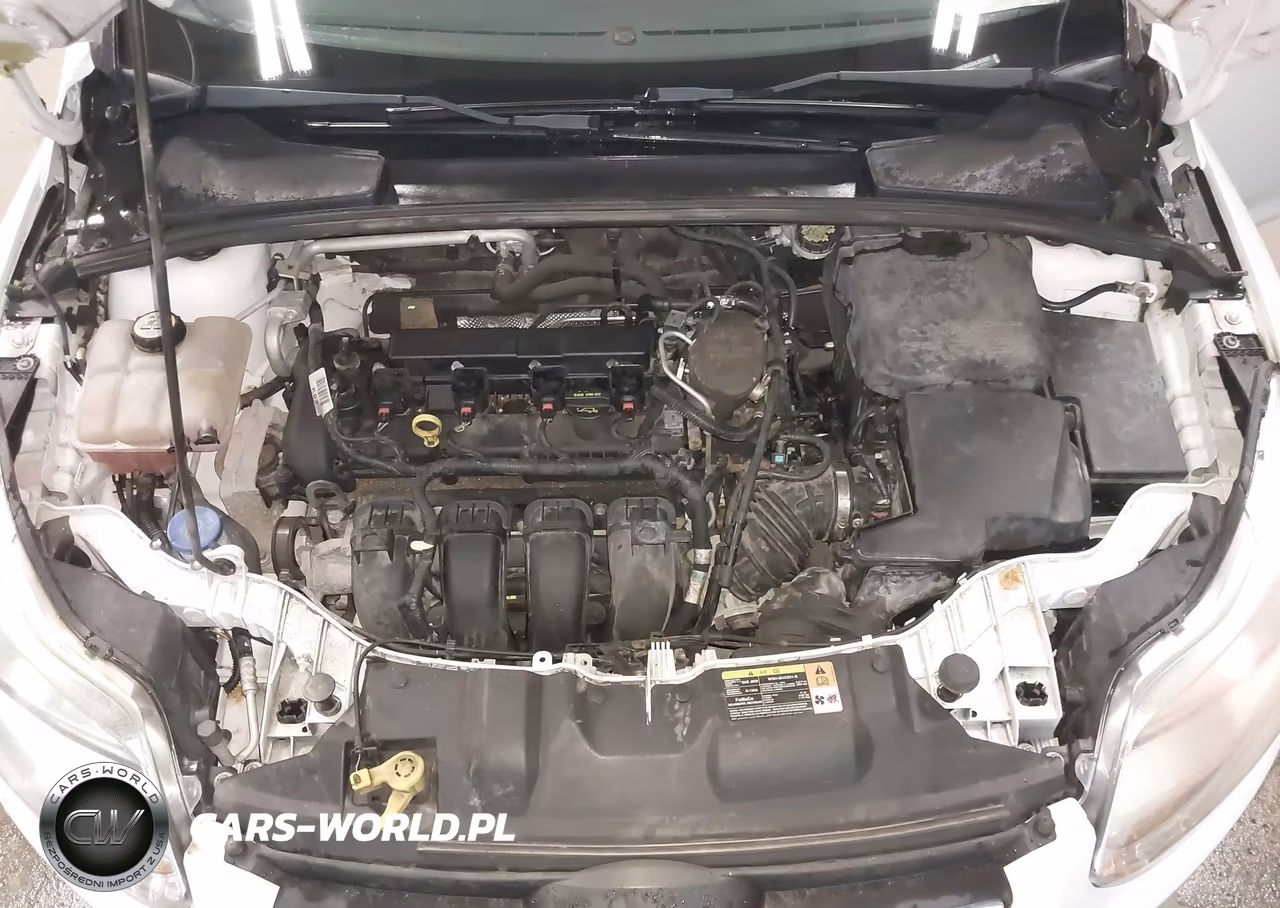 2013 Ford Focus Se VIN:1FADP3K29DL261621 - 10