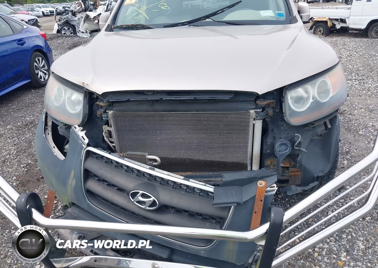 2007 Hyundai Santa Fe Gls VIN:5NMSG73D77H081651 - 6