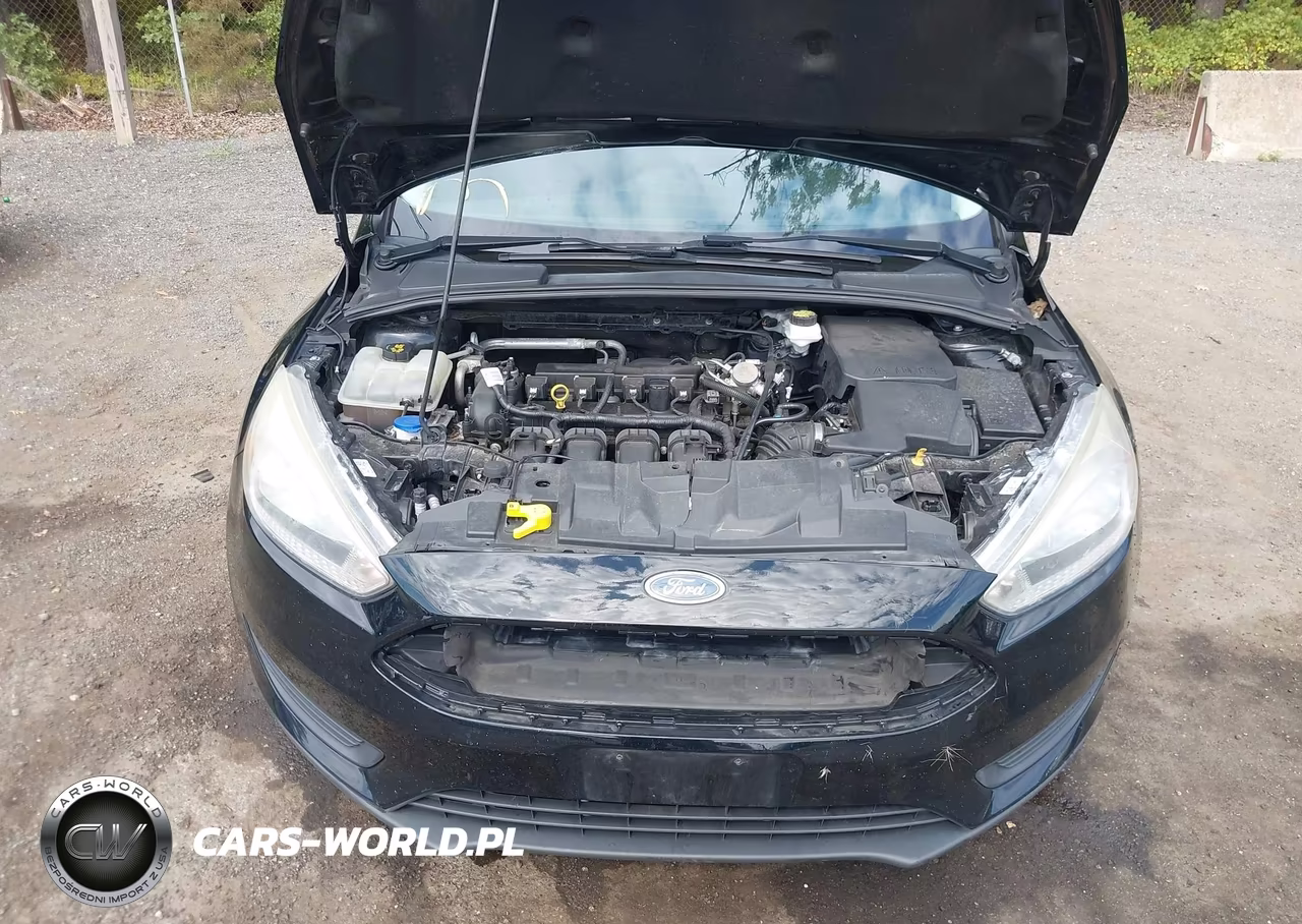 2017 Ford Focus Se VIN:1FADP3F27HL321993 - 10