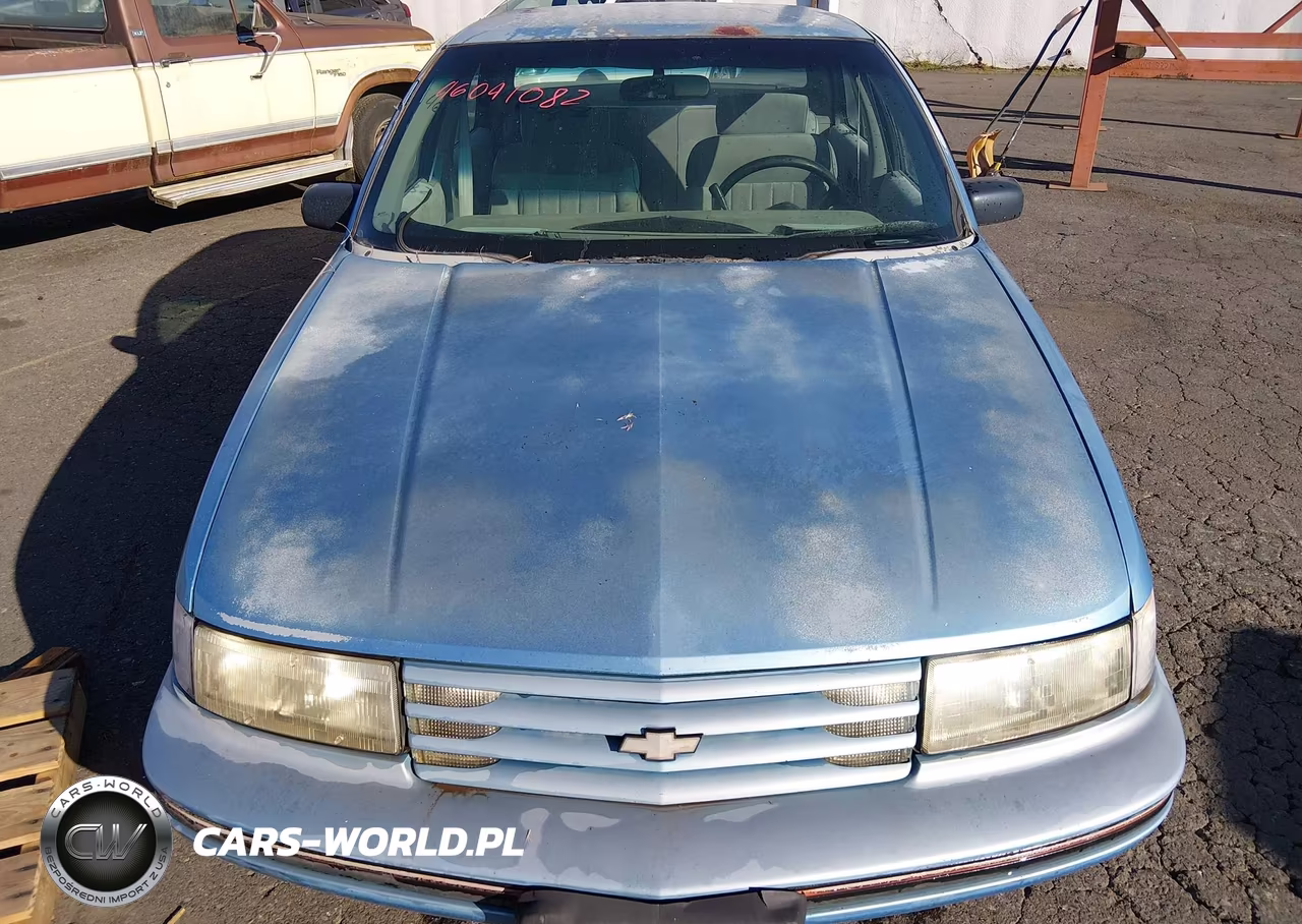1992 Chevrolet Lumina Euro VIN:2G1WN54T2N9114004 - 10