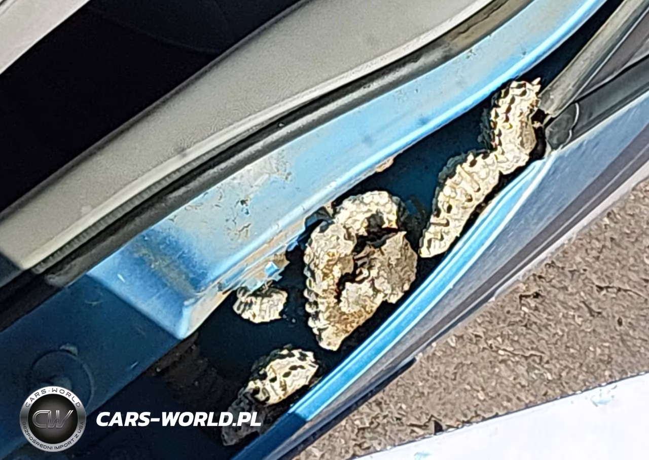 1992 Chevrolet Lumina Euro VIN:2G1WN54T2N9114004 - 11