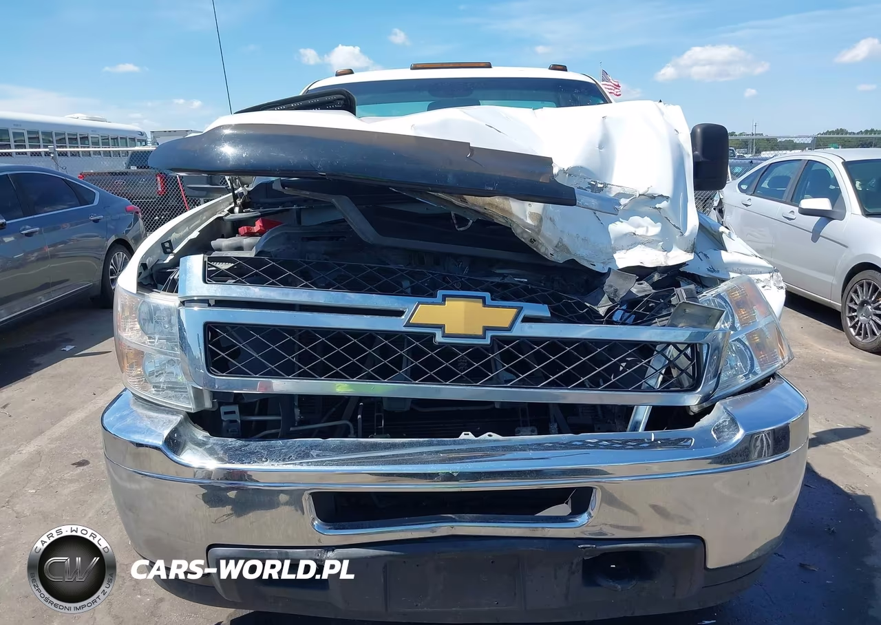 2013 Chevrolet Silverado 3500Hd Chassis Work Truck VIN:1GB3CZCG7DF226917 - 12