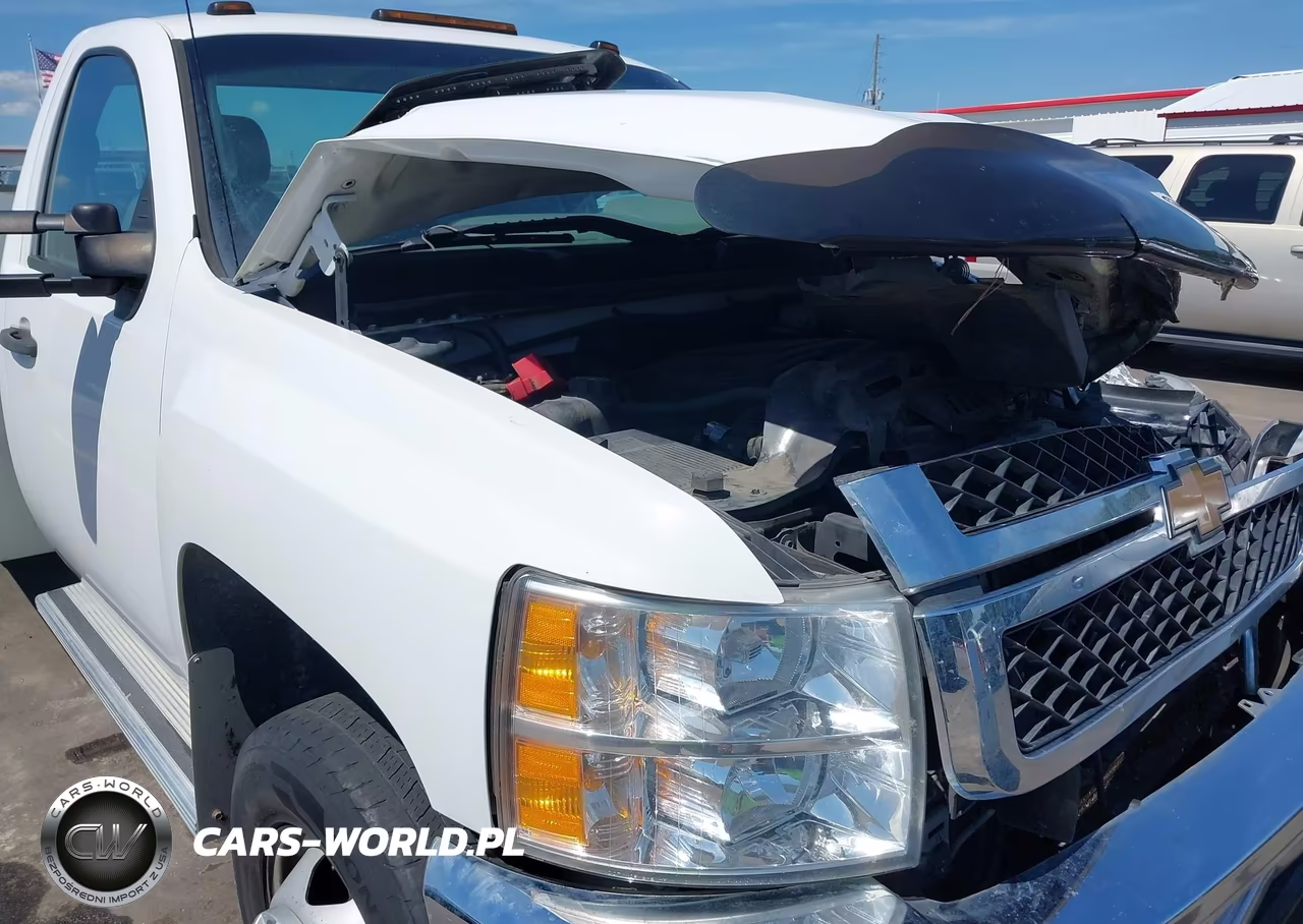 2013 Chevrolet Silverado 3500Hd Chassis Work Truck VIN:1GB3CZCG7DF226917 - 16