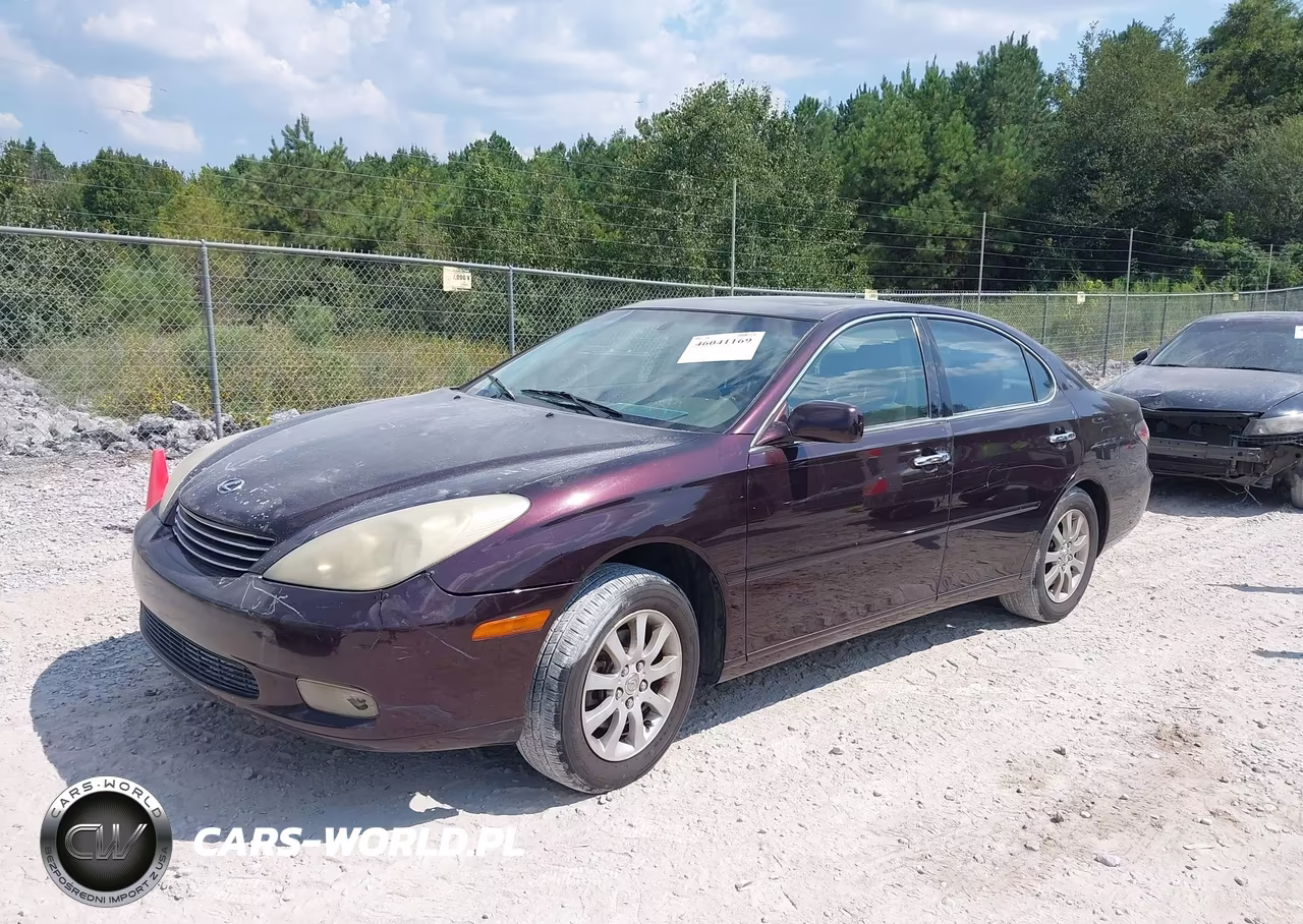 2004 Lexus Es 330 VIN:JTHBA30G945009355 - 2