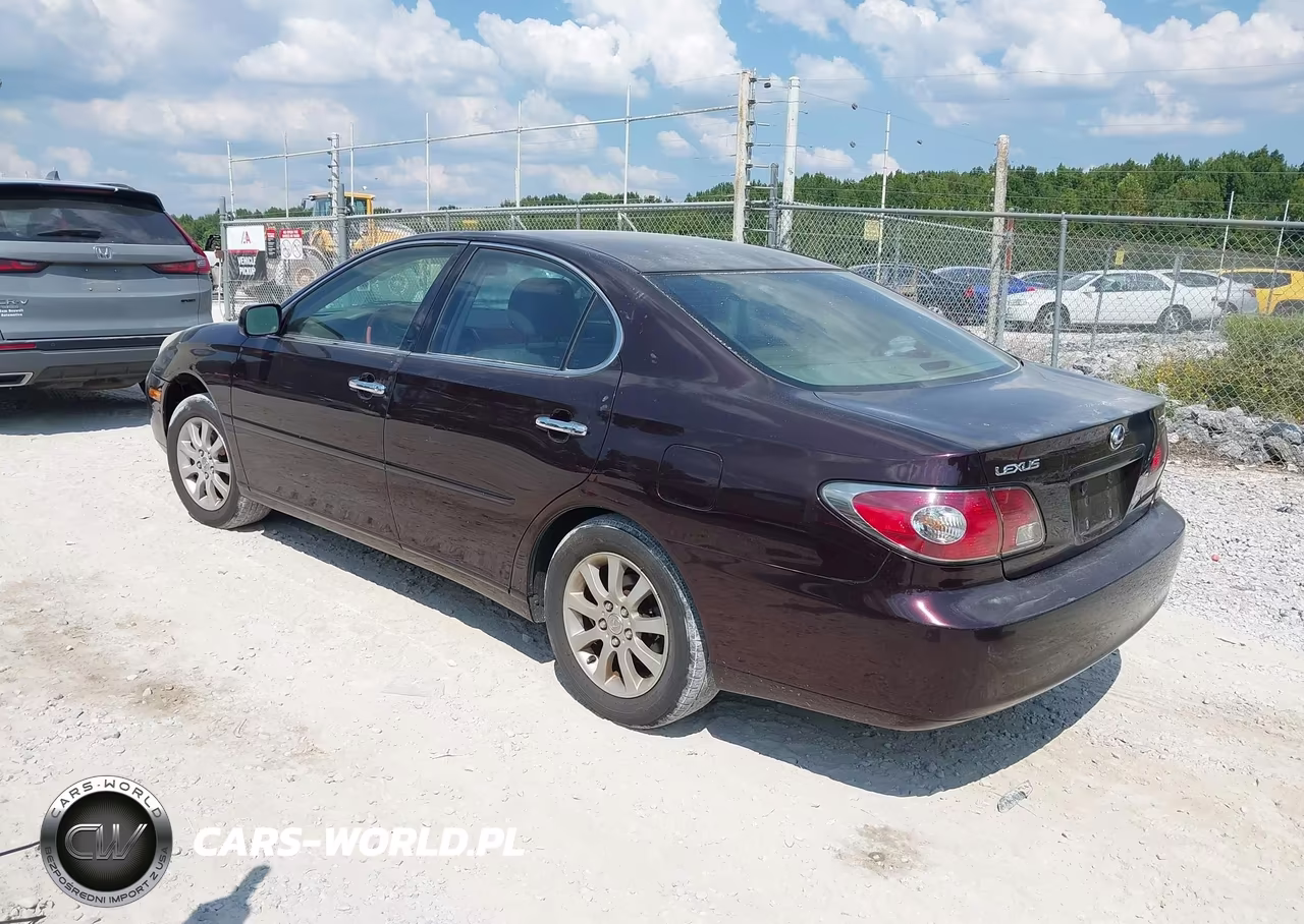 2004 Lexus Es 330 VIN:JTHBA30G945009355 - 3