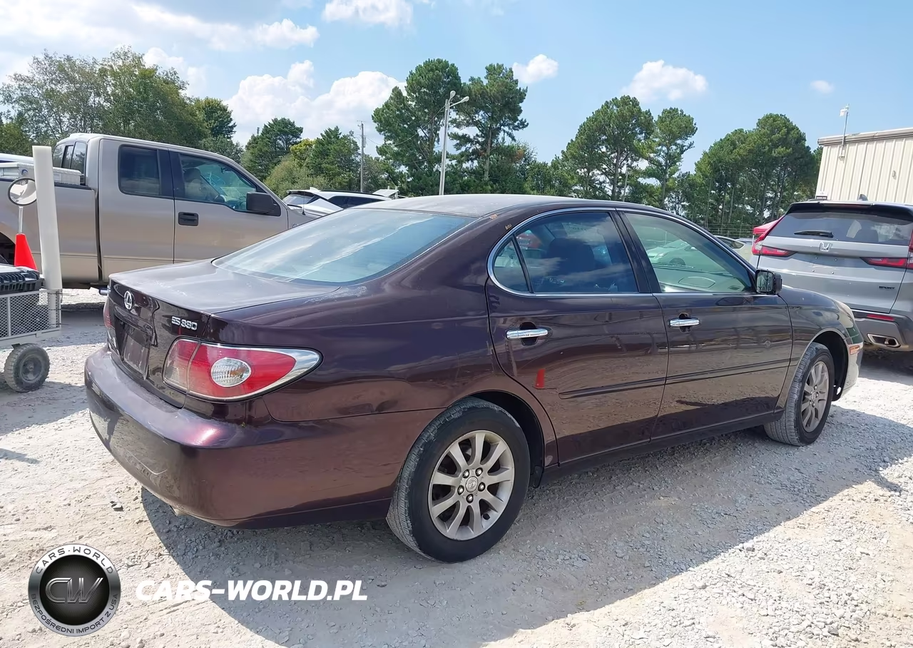 2004 Lexus Es 330 VIN:JTHBA30G945009355 - 4