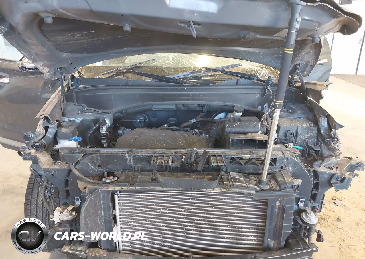2023 Hyundai Palisade Limited VIN:KM8R5DGE8PU518843 - 10