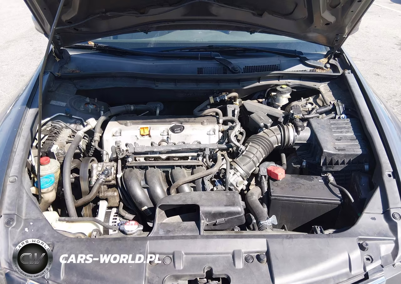 2010 Honda Accord 2.4 Lx VIN:1HGCP2F31AA020325 - 10